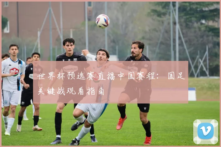 世界杯预选赛直播中国赛程：国足关键战观看指南